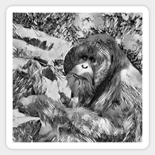 AnimalArtBW OrangUtan 001 Sticker